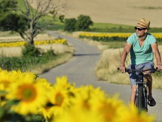 Radfahren Sommer Neusiedler See