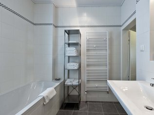 Badezimmer im Ferienhaus Burgenland 1