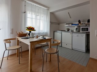 Küche und Essplatz im Studio ferienhaus-burgenland1